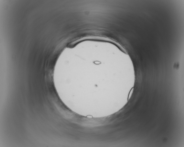 X0000113140045200910161207