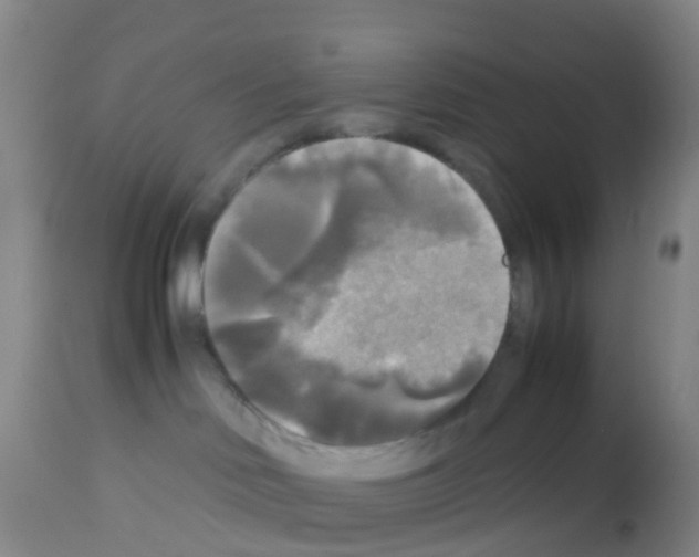 X0000113140046200910161207