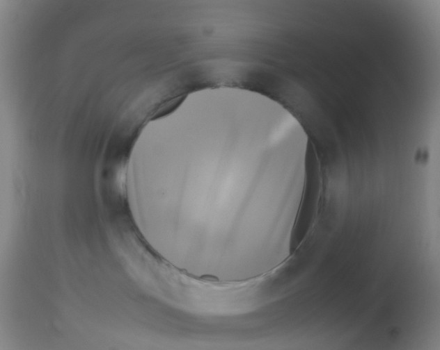 X0000113140047200910161206