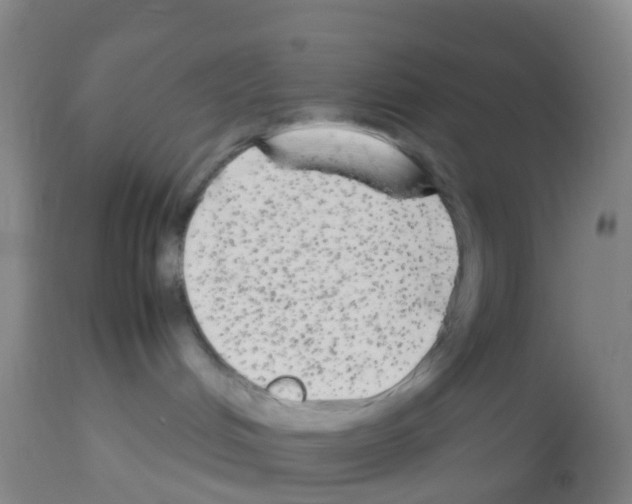 X0000113140048200910161206