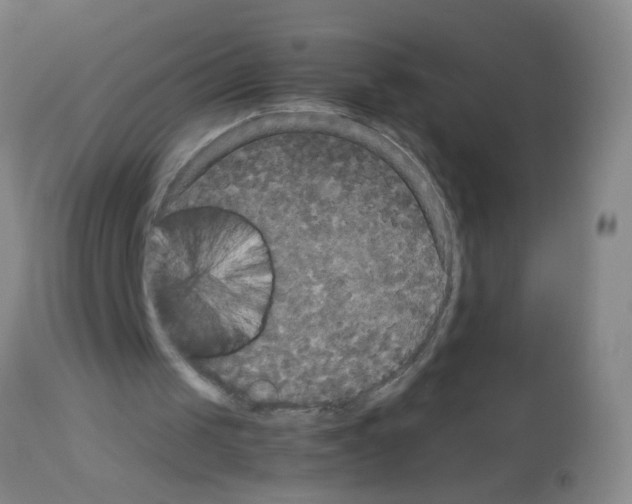X0000113140049200910161206