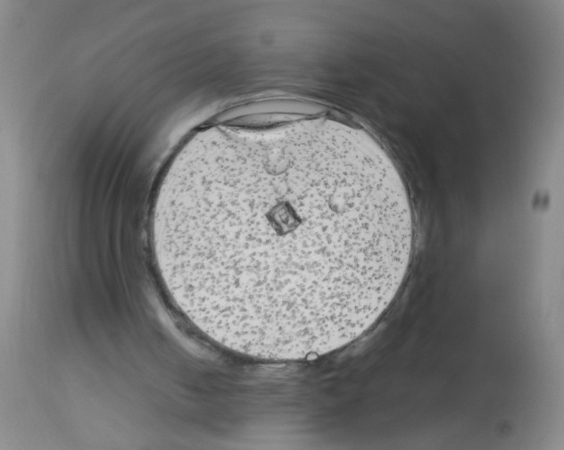X0000113140050200910161206