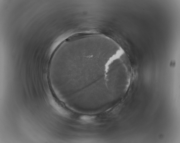 X0000113140051200910161206