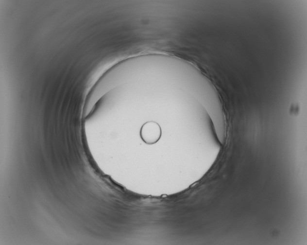 X0000113140052200910161206