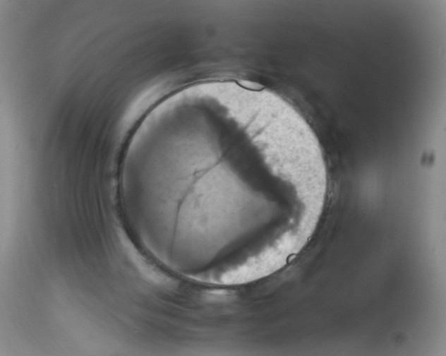 X0000113140053200910161206