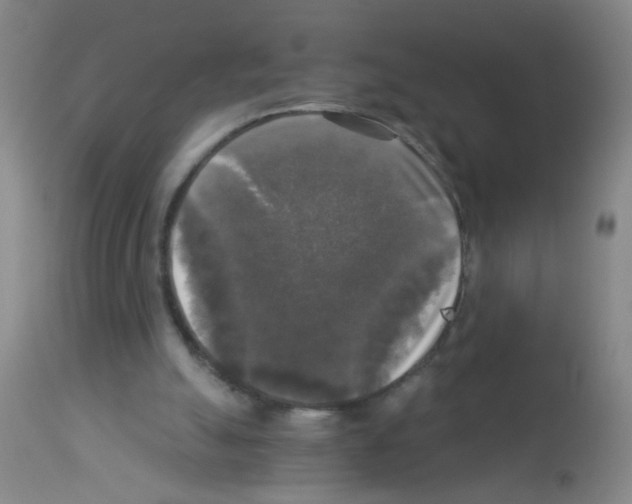 X0000113140055200910161206