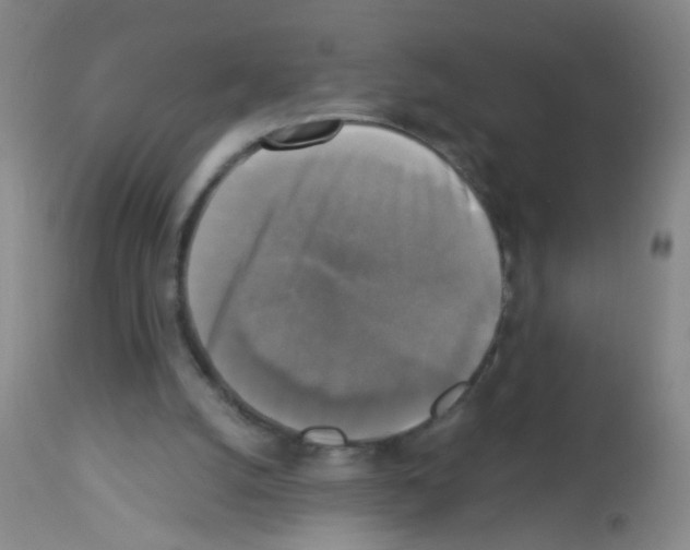 X0000113140056200910161206
