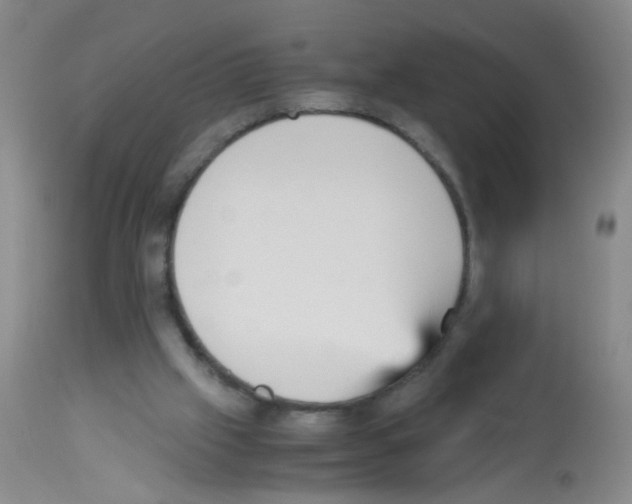 X0000113140057200910161206
