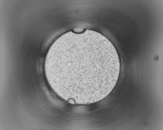 X0000113140058200910161206