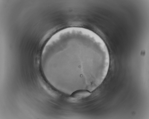 X0000113140059200910161206