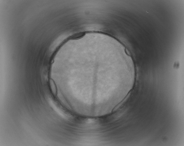 X0000113140060200910161206