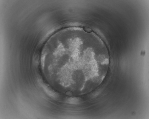 X0000113140063200910161206