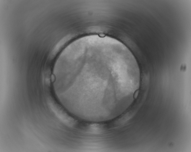 X0000113140064200910161206