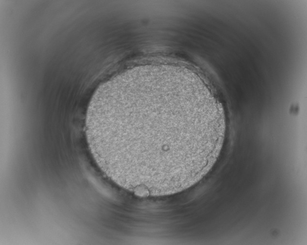 X0000113140065200910161206