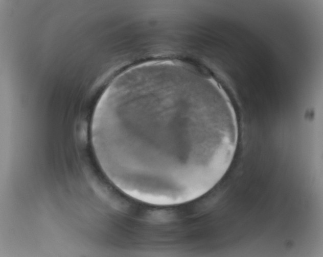 X0000113140067200910161206