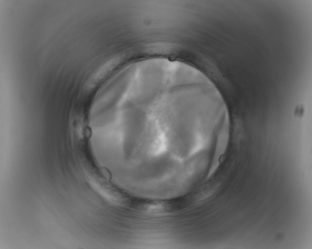 X0000113140068200910161206