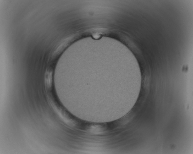 X0000113140070200910161206
