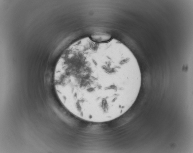 X0000113140072200910161206