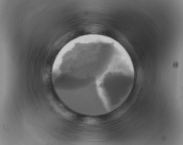 X0000113140073200910161206