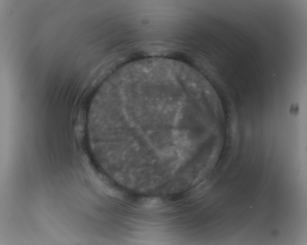 X0000113140074200910161206