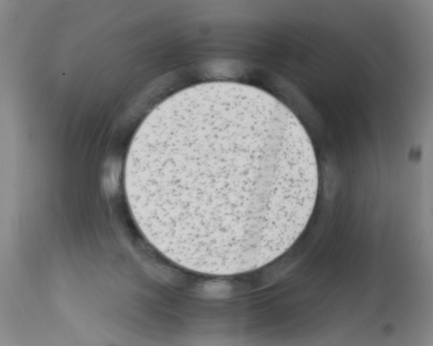 X0000113140075200910161206