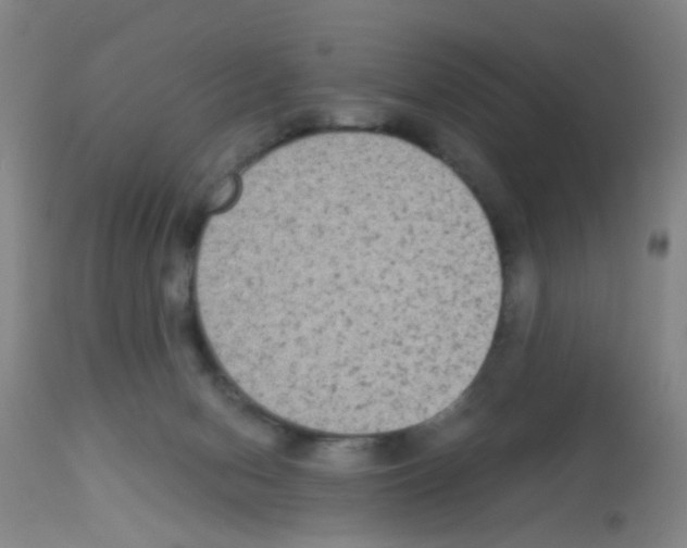 X0000113140078200910161206