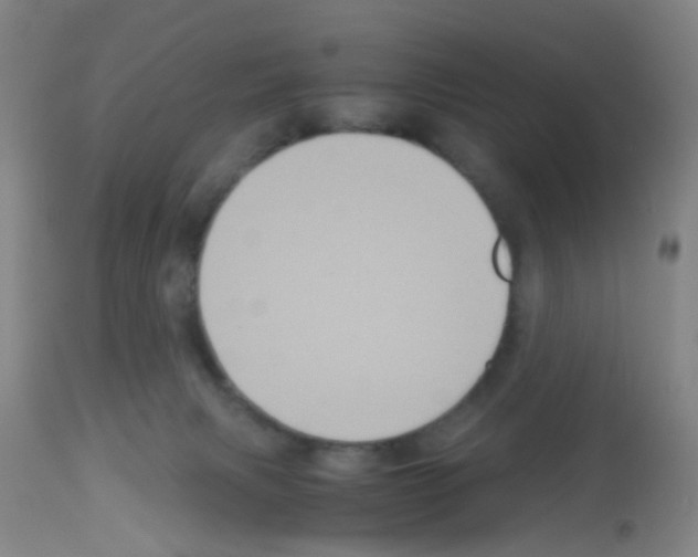 X0000113140079200910161206