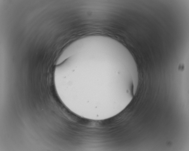 X0000113140080200910161206