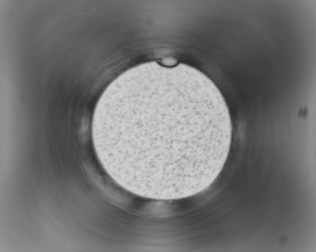 X0000113140082200910161206