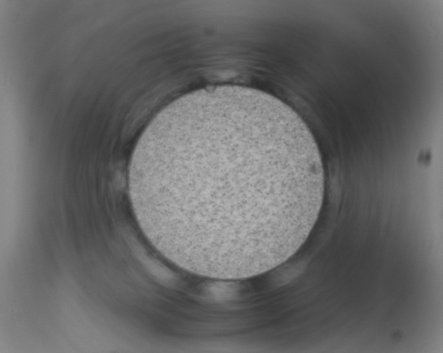 X0000113140085200910161206