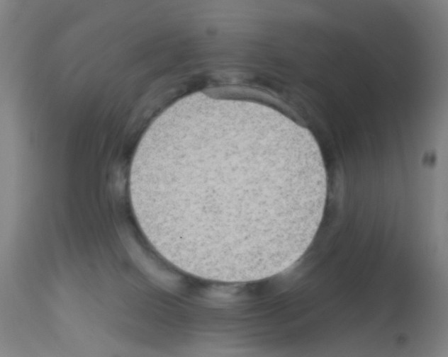 X0000113140086200910161206