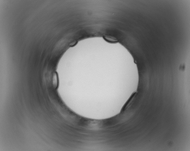 X0000113140088200910161206