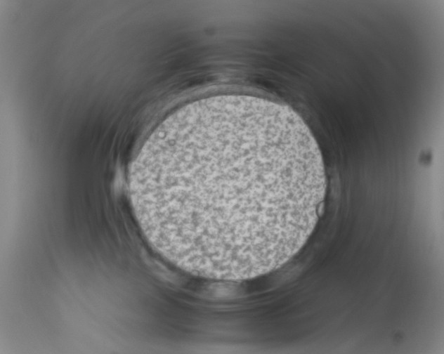 X0000113140089200910161206