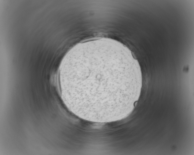 X0000113140090200910161206