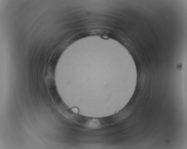X0000113140091200910161206