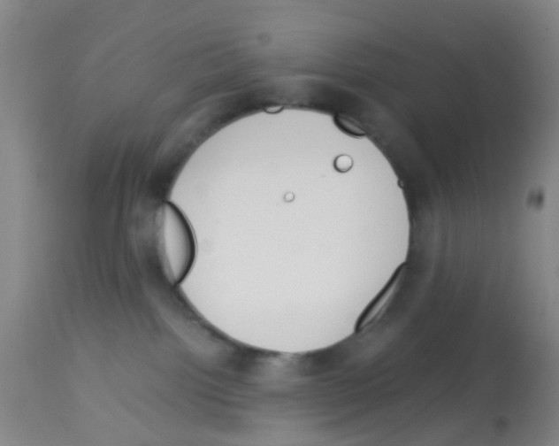 X0000113140092200910161206