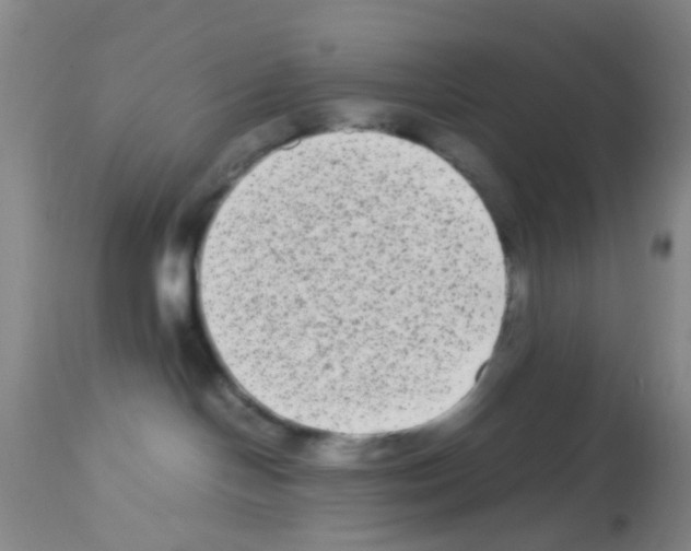 X0000113140094200910161206