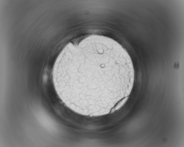 X0000113140095200910161206