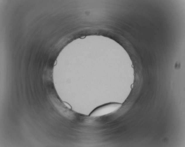 X0000113140096200910161206