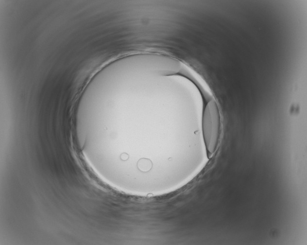 X0000113140097200910161206