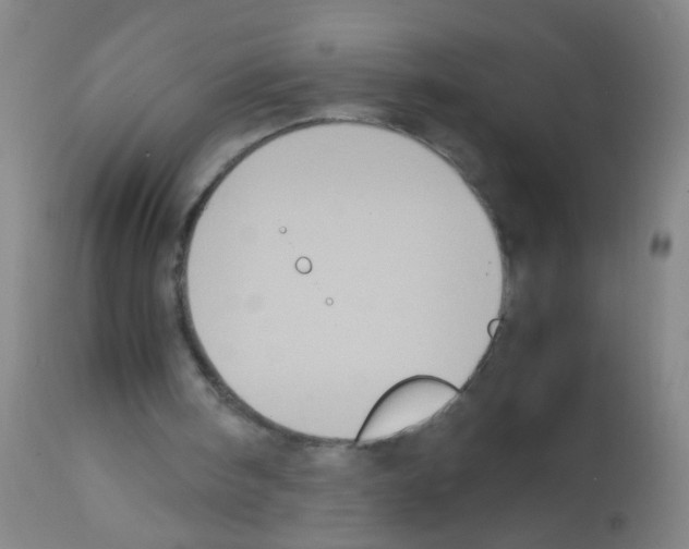 X0000113140098200910161206