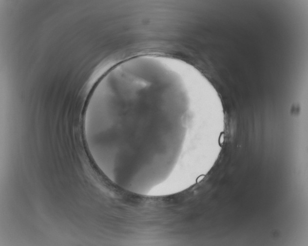 X0000113140099200910161206