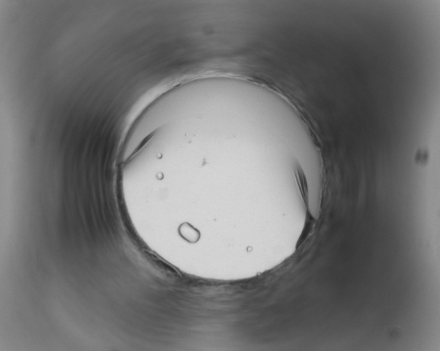 X0000113140100200910161206