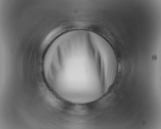 X0000113140101200910161206