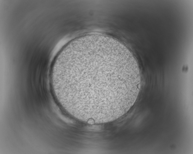 X0000113140102200910161206