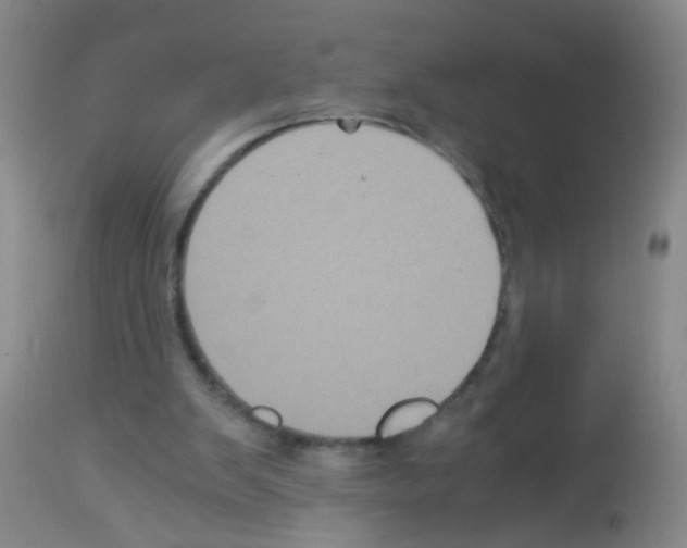 X0000113140103200910161206