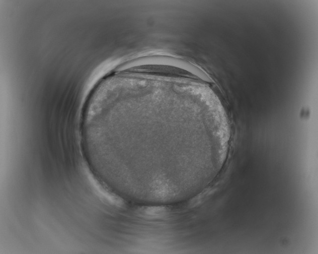 X0000113140104200910161206