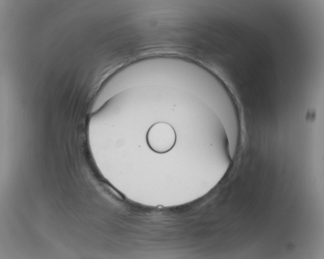 X0000113140105200910161206