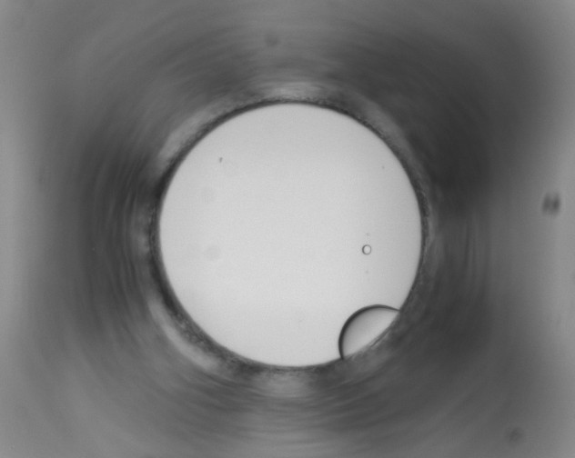X0000113140106200910161206