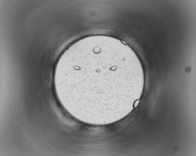 X0000113140107200910161205